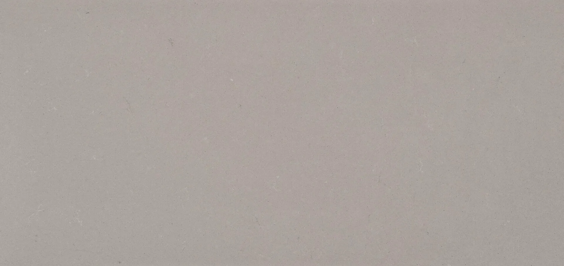 4004 - Raw Concrete